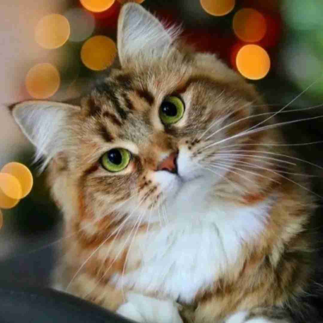 دانلود آهنگ هی احساس میکنم دارم عقب میمونم 