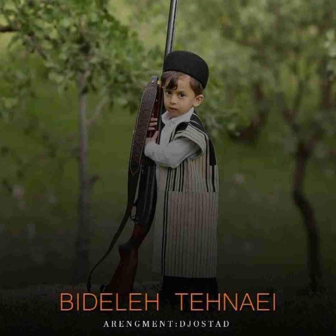 دانلود آهنگ بیدله تنهایی دیجی استاد