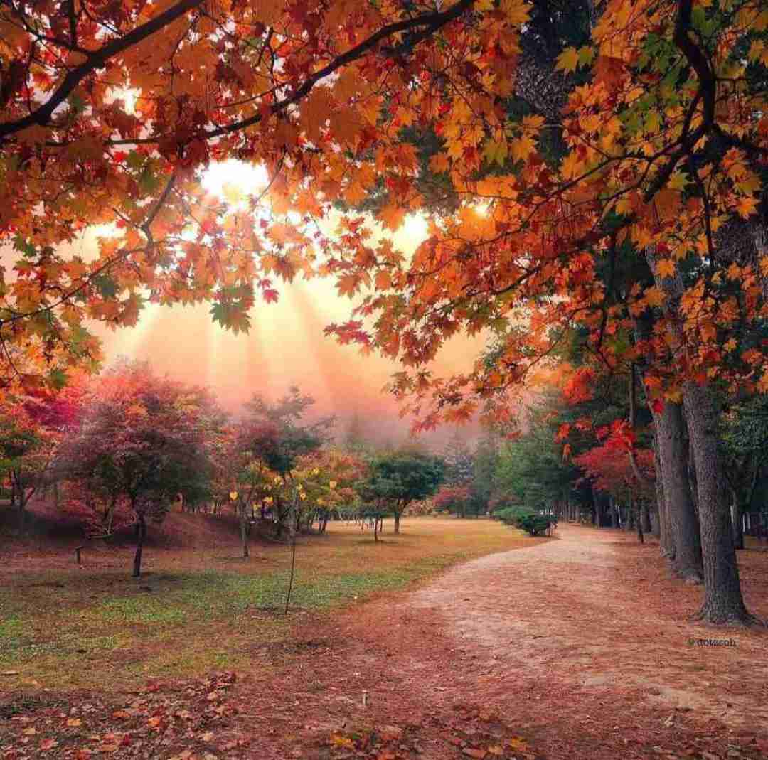 دانلود آهنگ شل کن شل کن ایست باز خیلی نرم و ریز