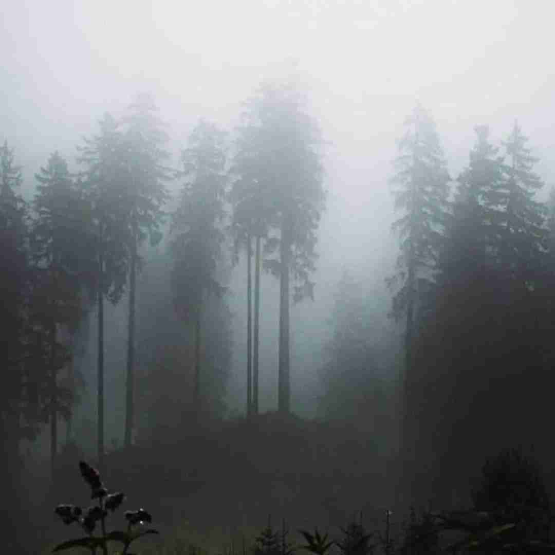 دانلود آهنگ منم نمیتونم قانعت کنم داشتیم باهم روزای باحال 