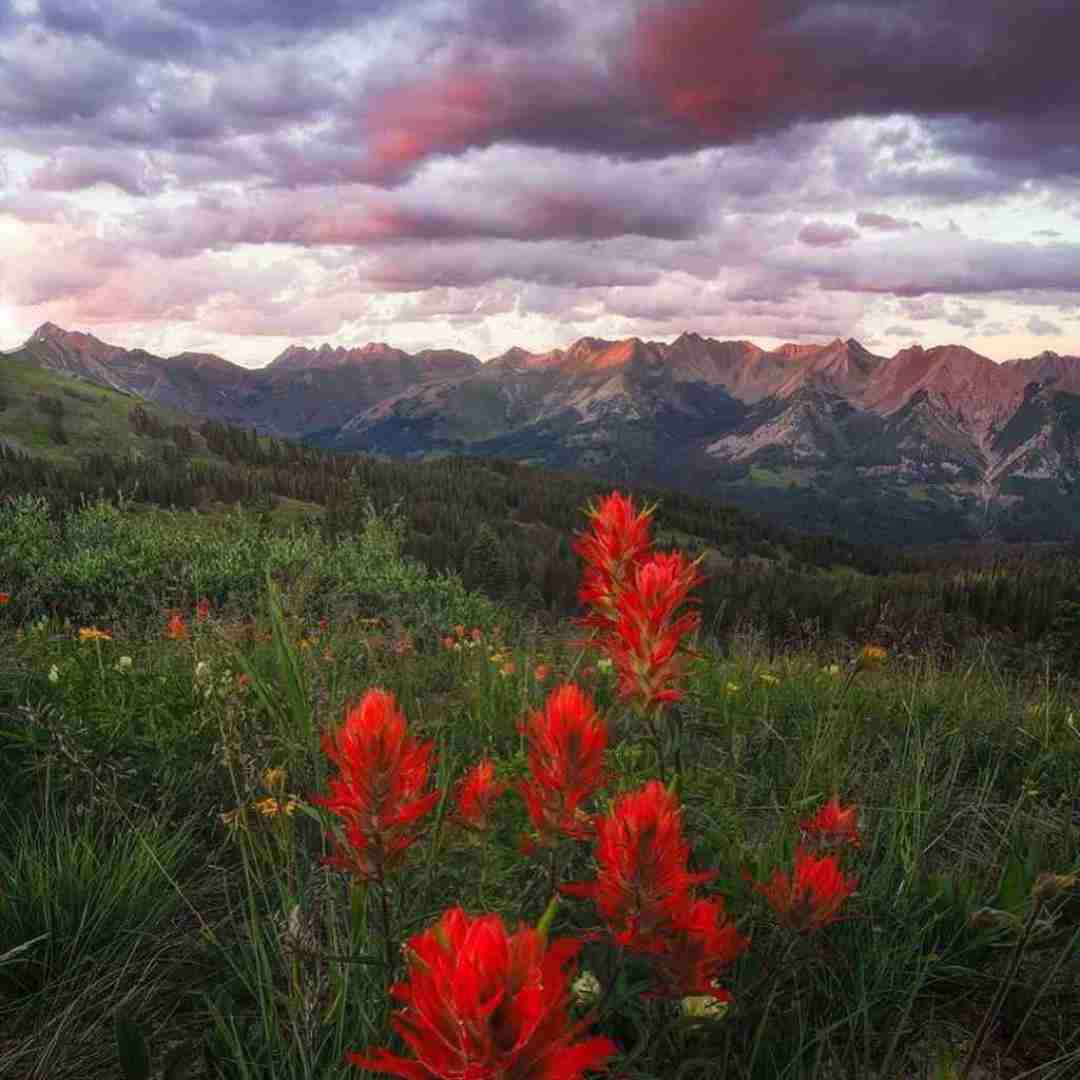 دانلود آهنگ خارجی شیب بابا بالو بیلا با صدای بچه