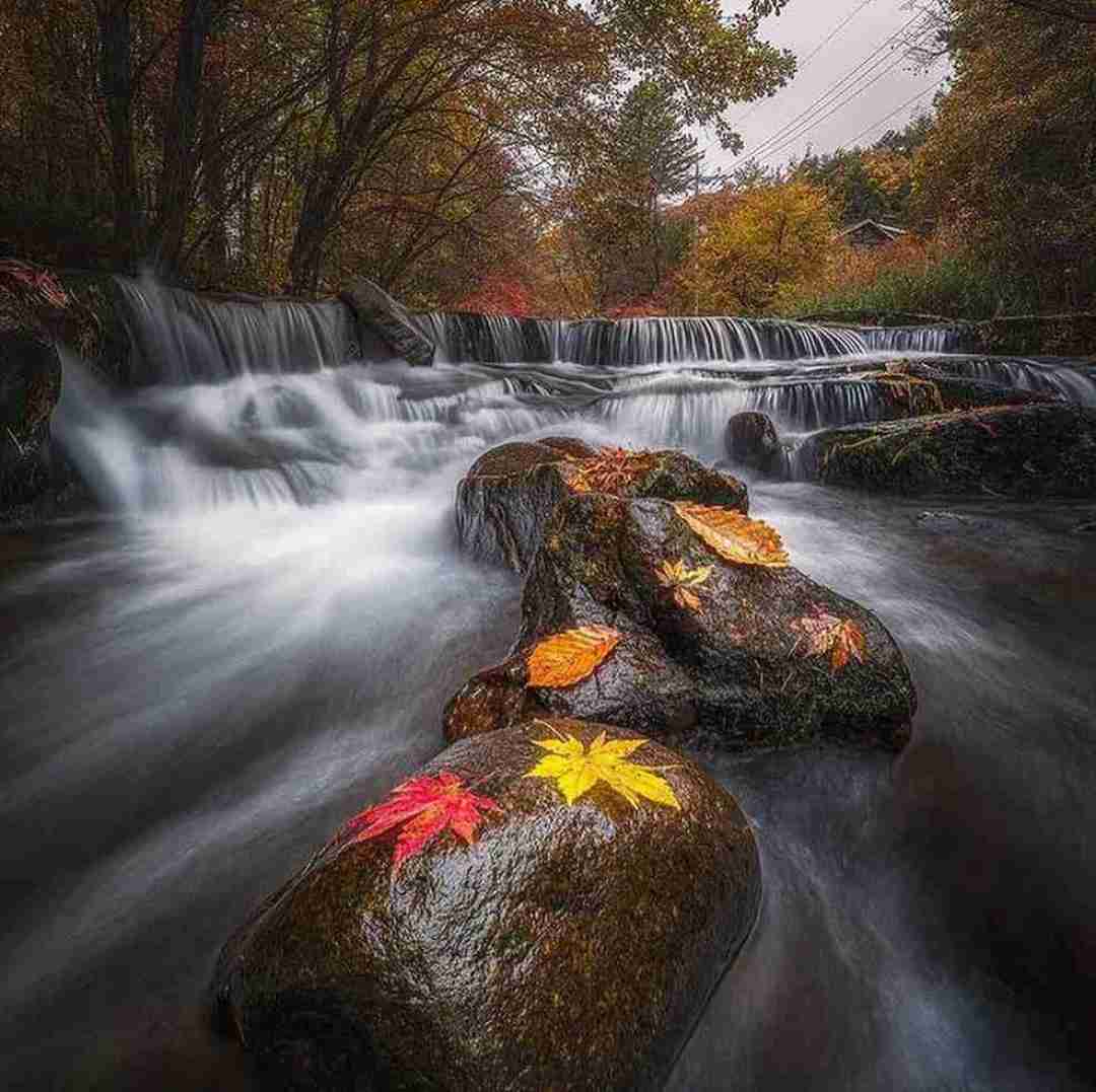 دانلود آهنگ یه عطر خوب بزن خوشتیپ بچرخ 