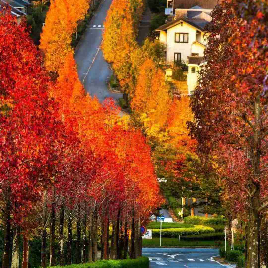 دانلود آهنگ ساعت عشق قرارمون دلبری زیر بارون قهر بکنی