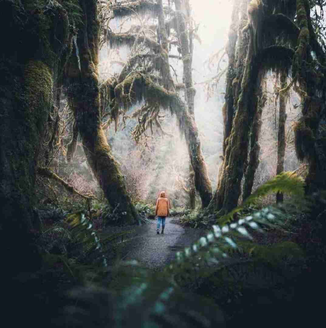 دانلود آهنگ آشنای من من غریبم بی تو با صدای دختر اینستایی