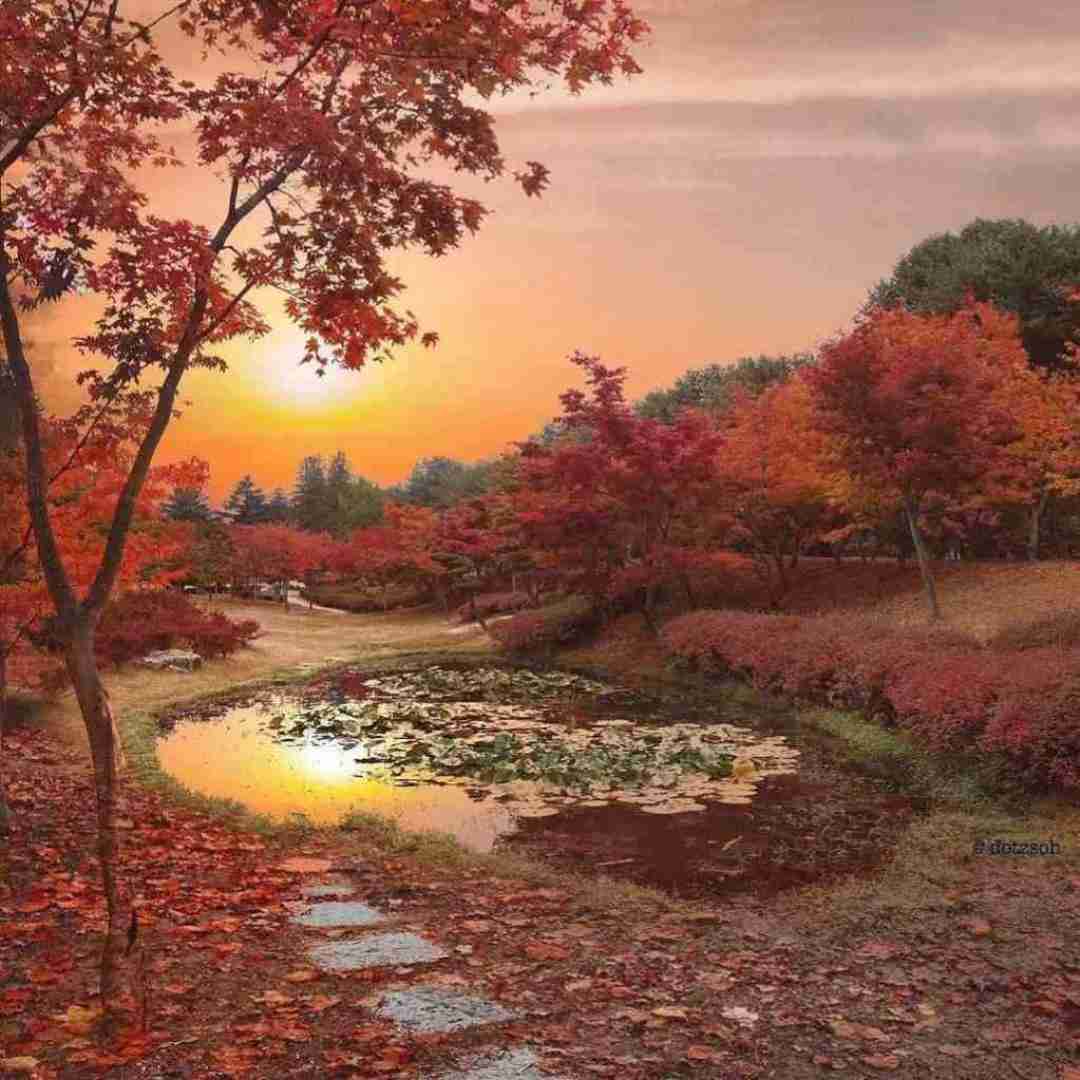 دانلود آهنگ دنیا باید رلم شه ملکه ی دلم شه 