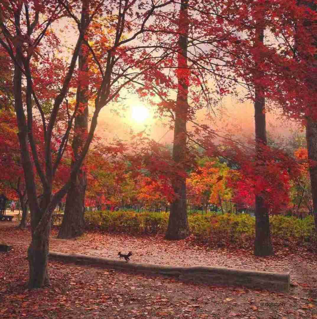 دانلود آهنگ از یه طرف تنگه دلم ولی مغزم میگه خفه ببند