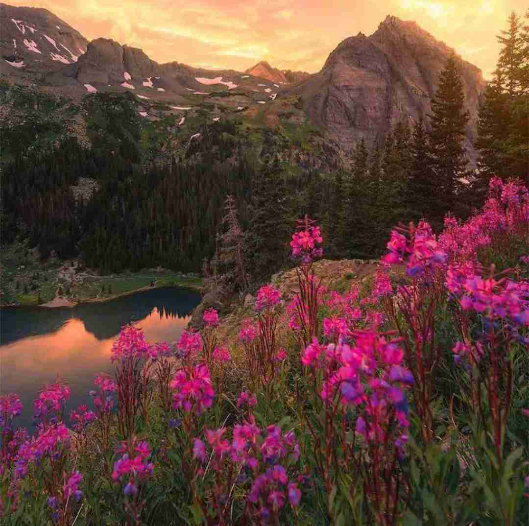 دانلود آهنگ من بودم و مامانم اینا شمسی خانوم و مامانش اینا