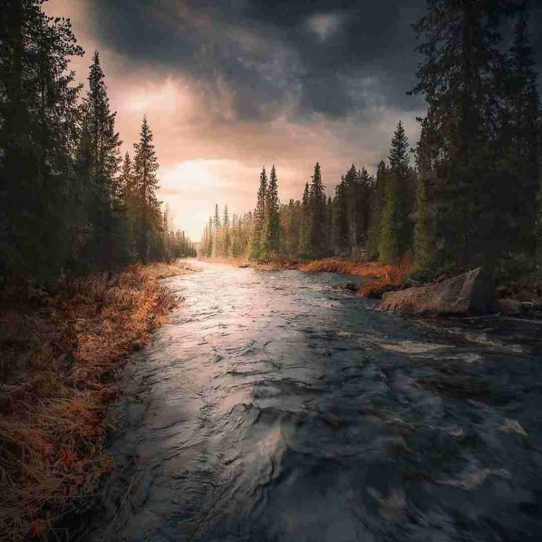 دانلود آهنگ حبیبی هنو گنگ ندیدی با صدای شیر فرهاد