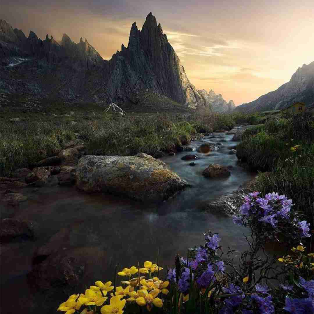 دانلود آهنگ شاو و شاو دلم تنگه ای بغضه و موی بنده با صدای باب اسفنجی