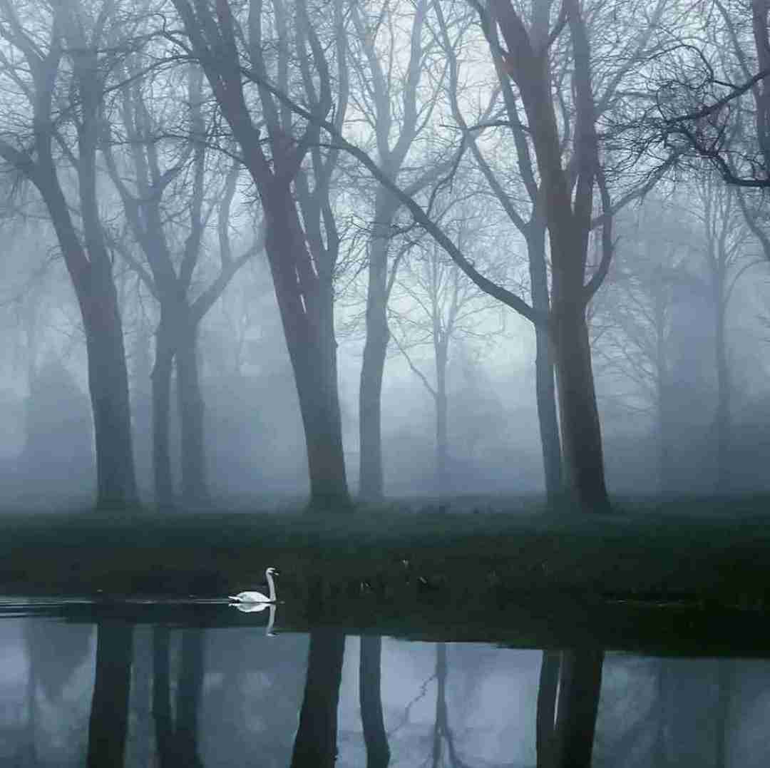 دانلود آهنگ خونه چه سرده تنمه کاپشن دیگه مهم نیس 