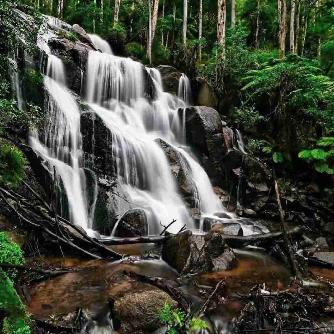 دانلود آهنگ بوک میشه فرست کلاس ایرلاین با صدای رزی
