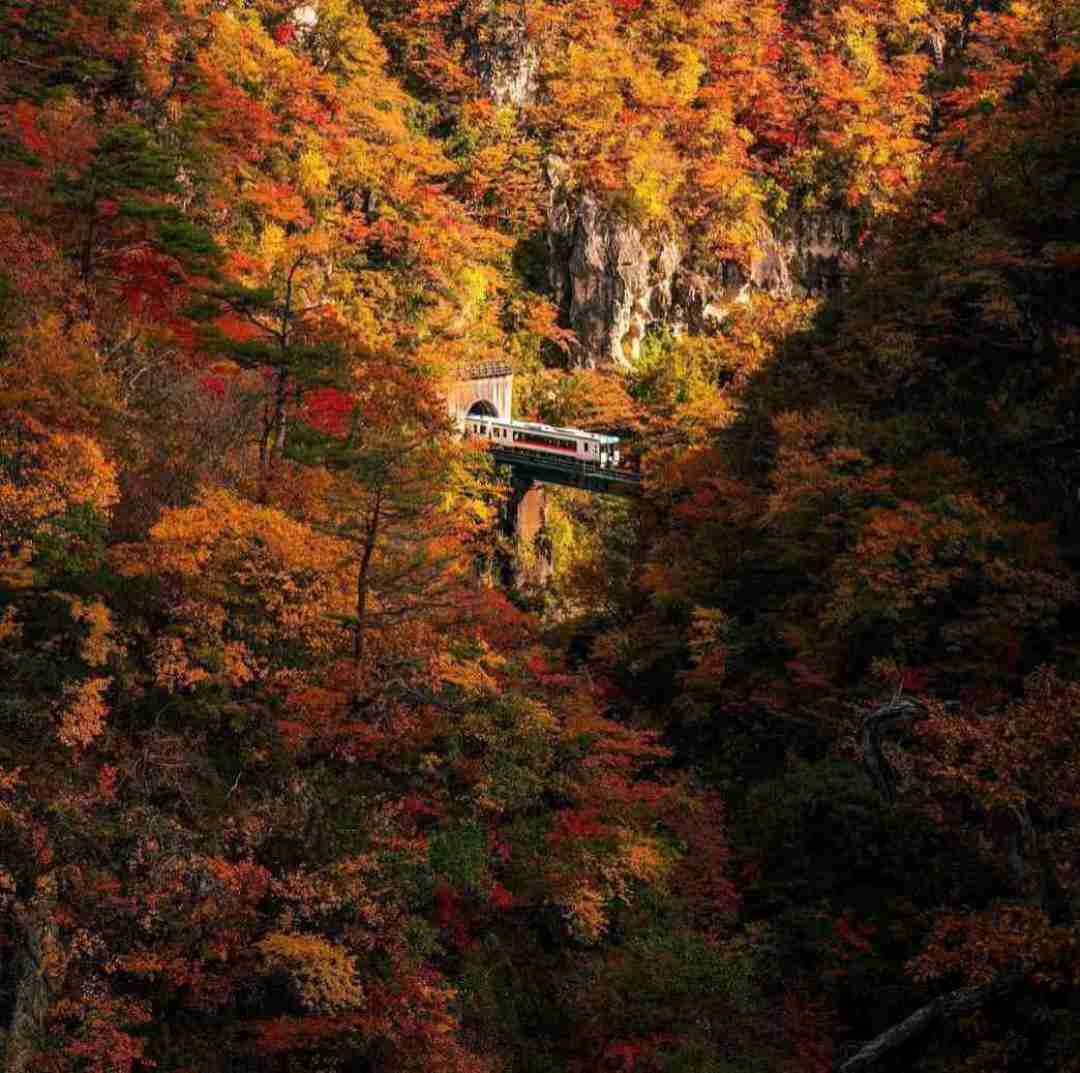 دانلود آهنگ تو خیابونای این شهر من کلی خوردم تلو تلو 