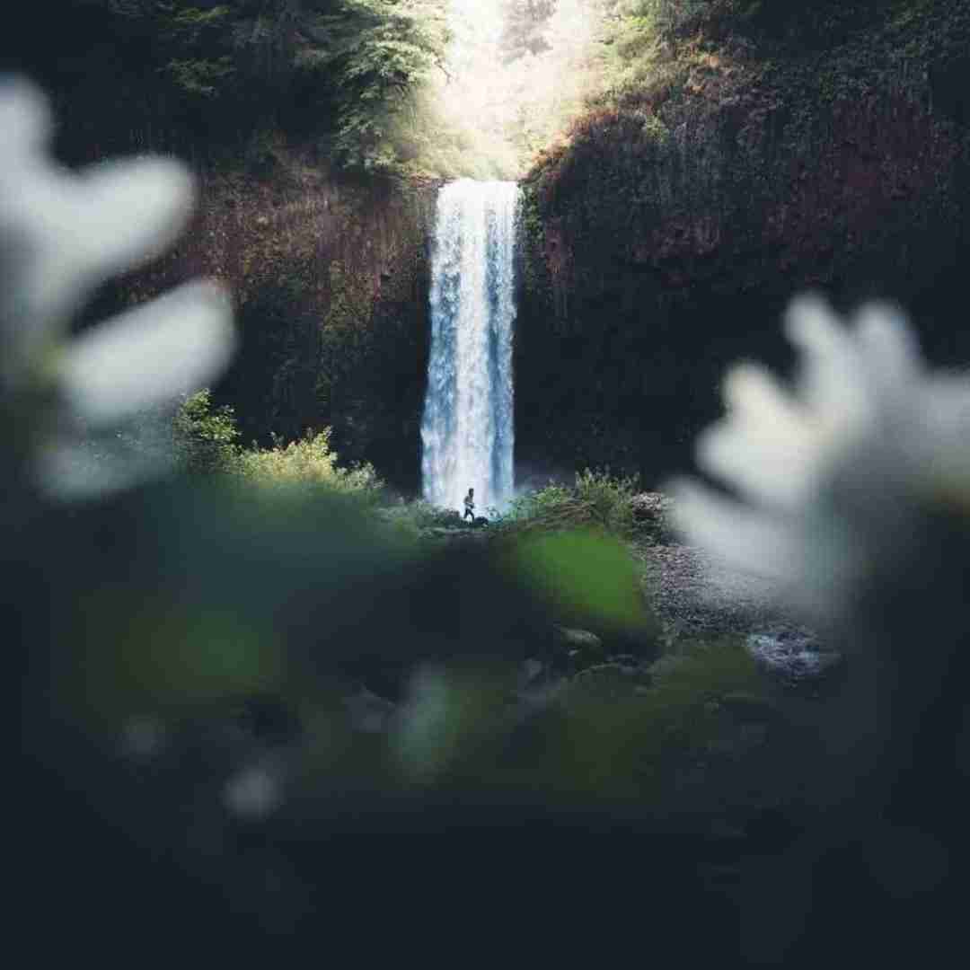 دانلود آهنگ مروارید سفیدم تو دریا غرق شد آسمونم بی ستاره