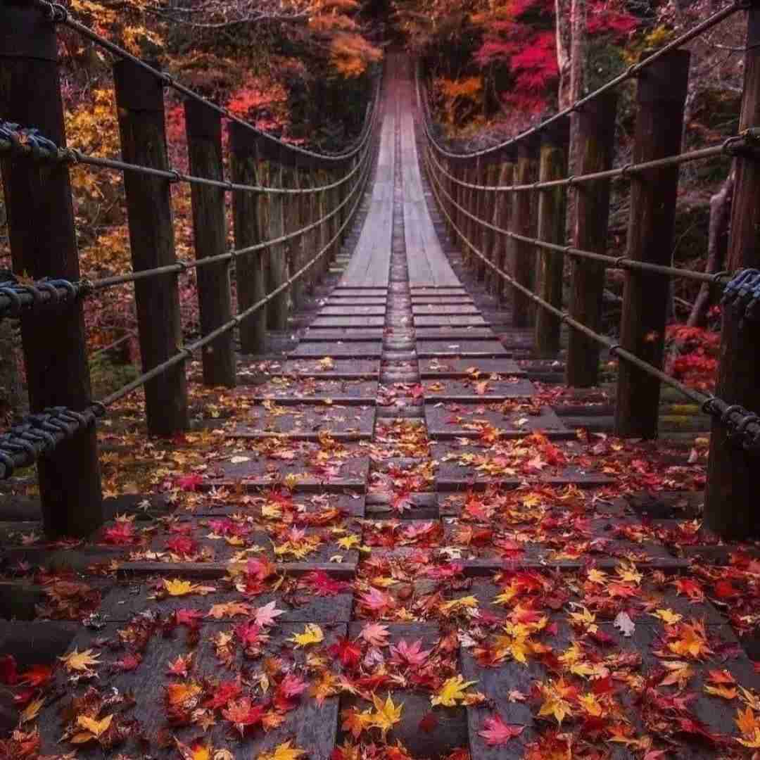 دانلود آهنگ تو اگه رفتی گوشه اسمت یدونه قلب هست