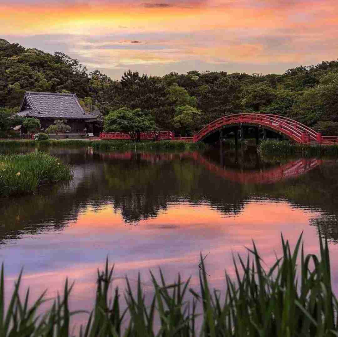 دانلود آهنگ تنم داره میره بالا هی دنیا زیر پاهامه