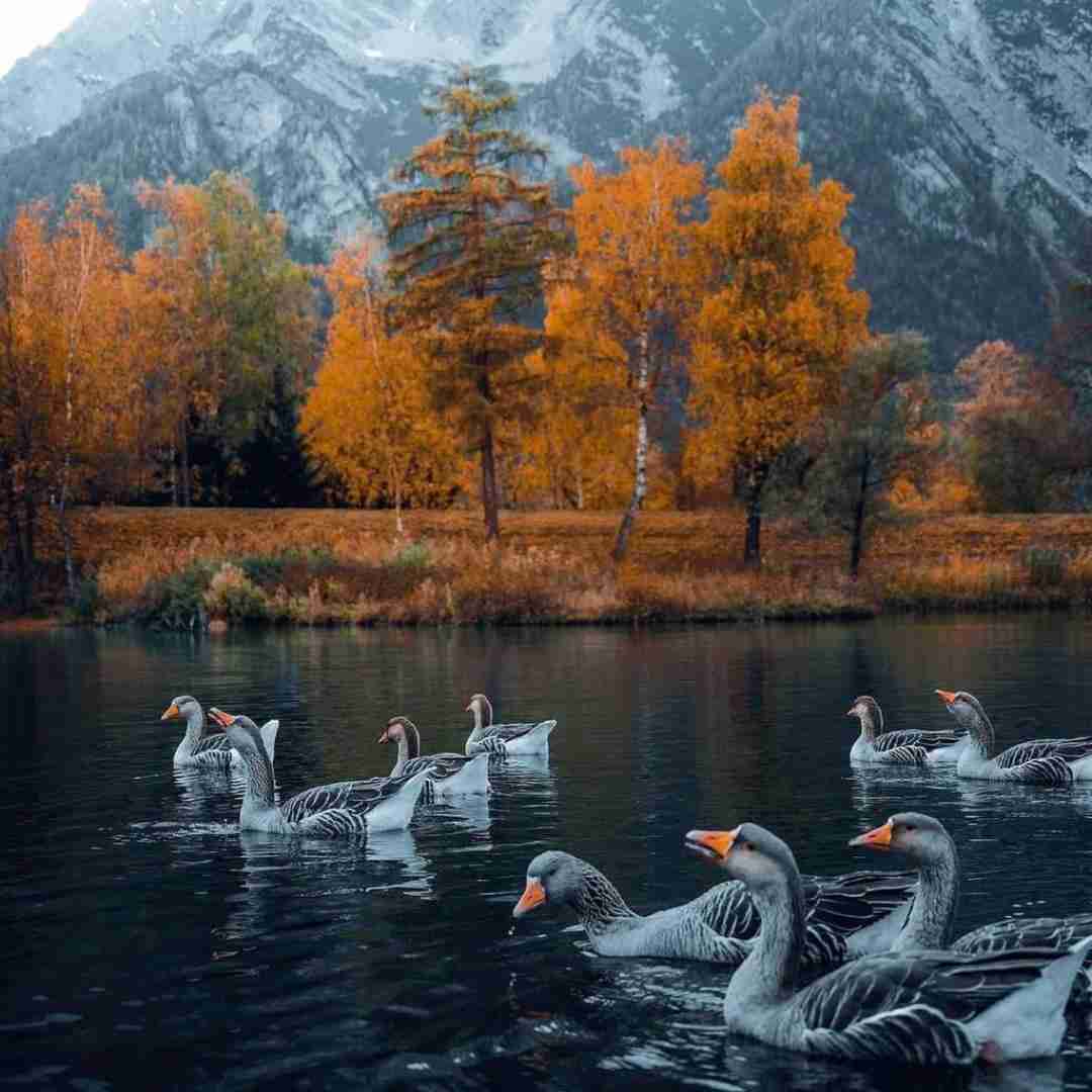 دانلود آهنگ فکر نمیکردم اصن عاشق بشم یهو