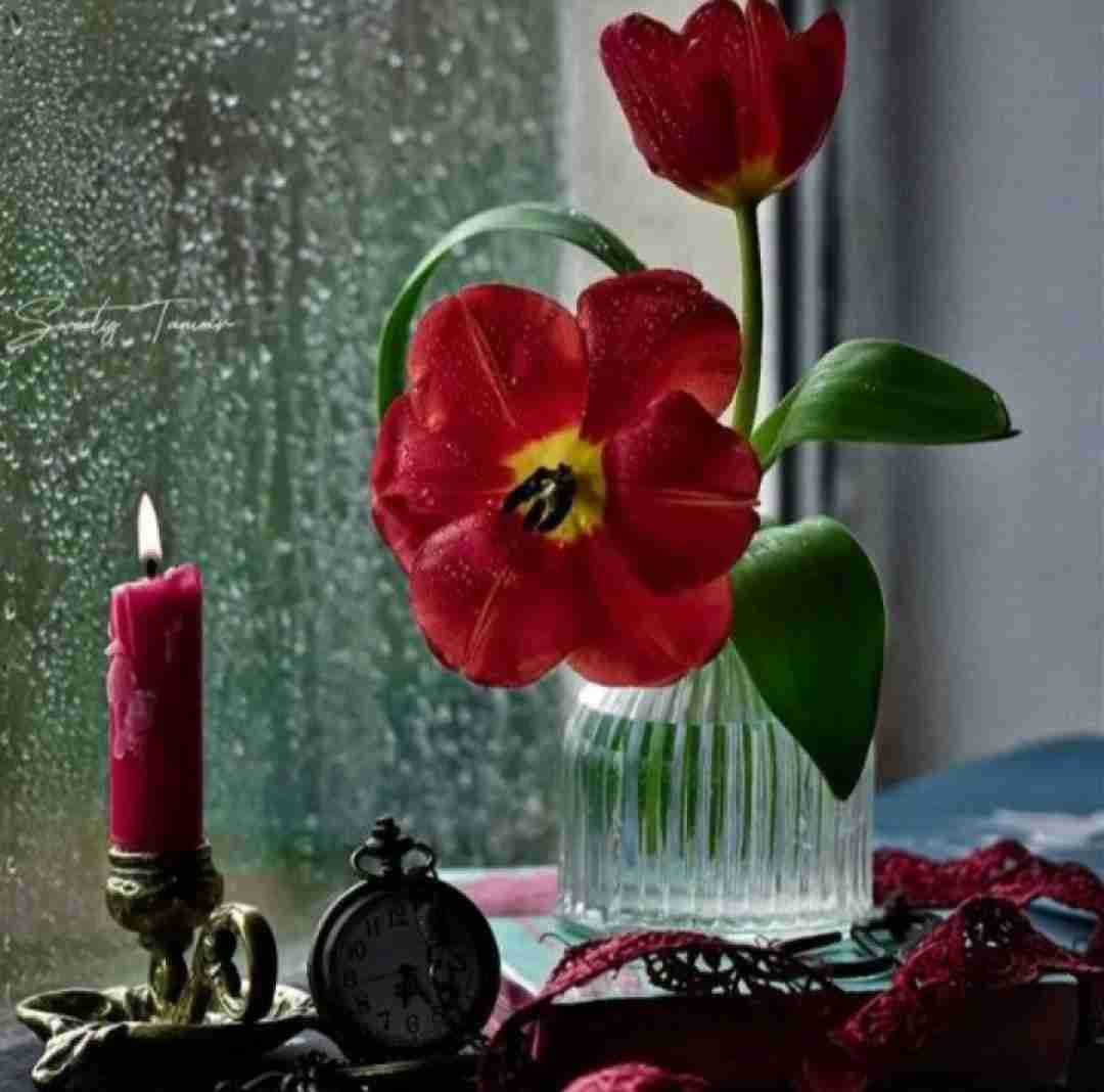 دانلود آهنگ هواس پرتی گردمه بزن قدش 