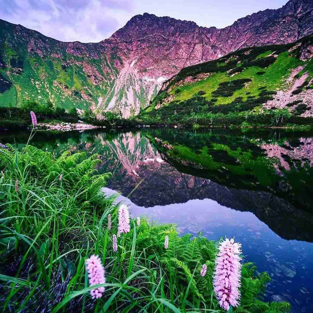 دانلود آهنگ تنها با گل ها گویم غم ها را چه کسی داند 