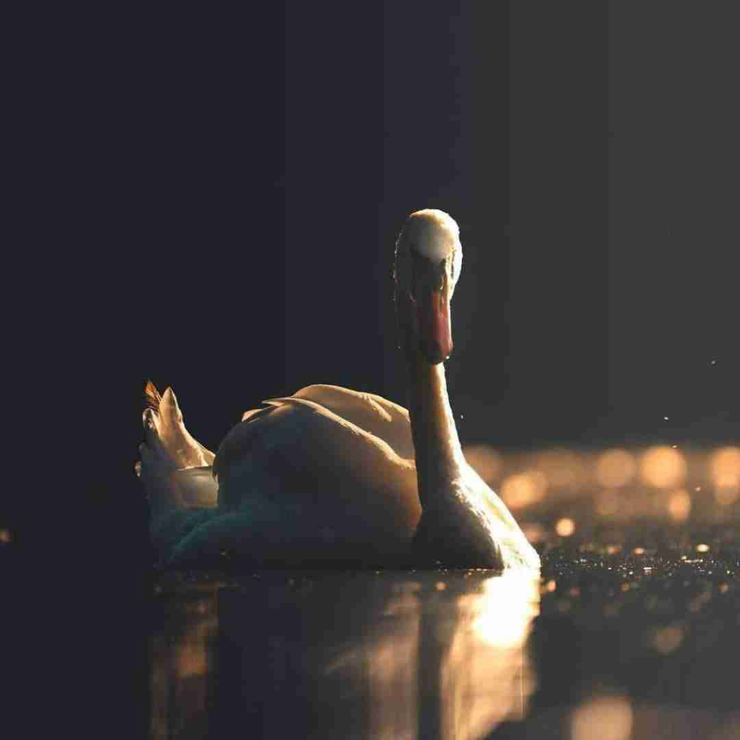 دانلود آهنگ باهام بد تا کرد بهش گفتم که موهای بلندتو میخوام