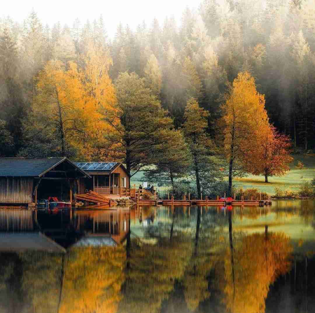 دانلود آهنگ بالاتر از گل بش نگین یه وقت خانم بدش میاد