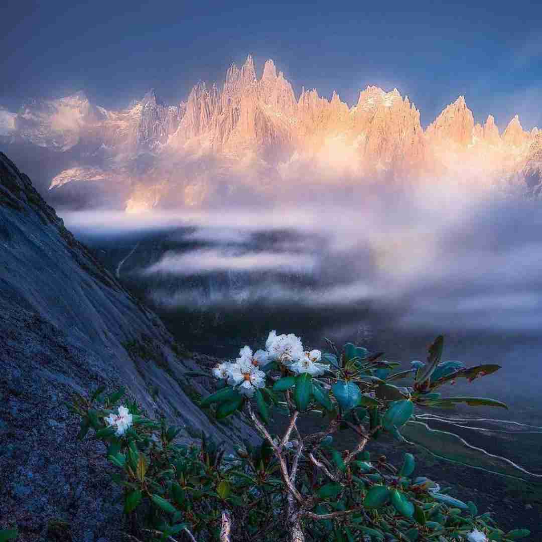 دانلود آهنگ خارجی لیوانمو میارم بالا و مینوشم به افتخار 