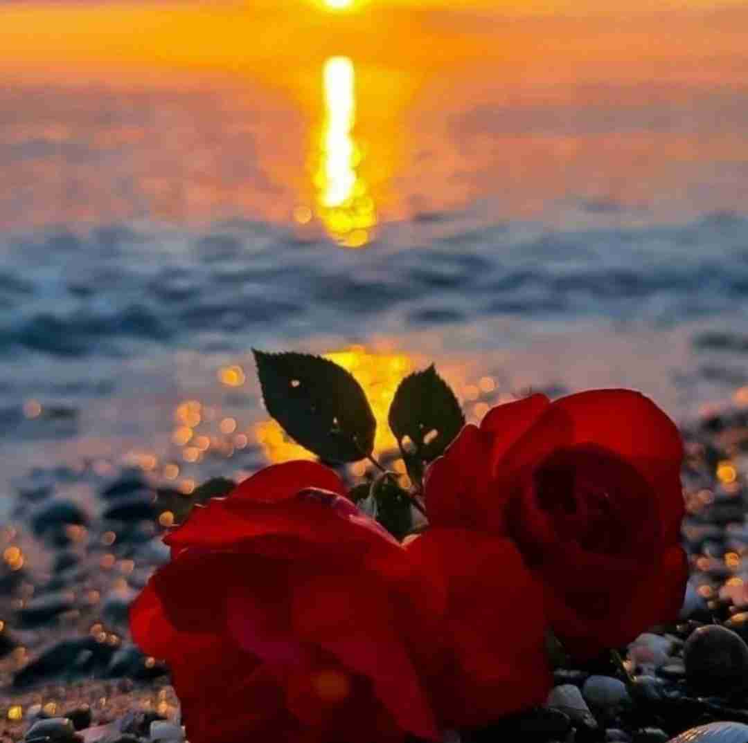 دانلود آهنگ میشم عصبی تر دل من به هر دری زد