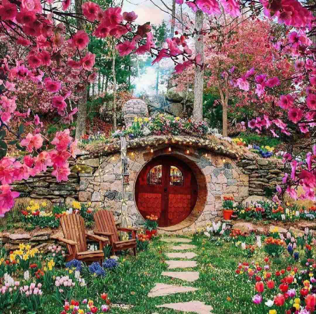 دانلود آهنگ افغانی رقم تو نمیشم خانم تو نمیشم خواننده زن