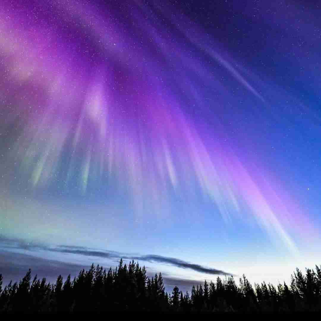 دانلود آهنگ هر شب منو قرص سردردو رو مخدرا هی سرفه کردن