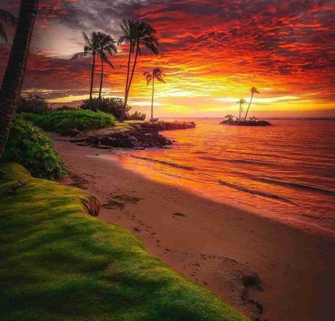 دانلود آهنگ شاخ شدی واسم بگو آخه چطور 