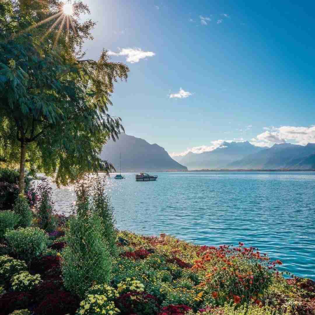 دانلود آهنگ ناگهان آمدی در جهانم یه روز با صدای زن اینستایی