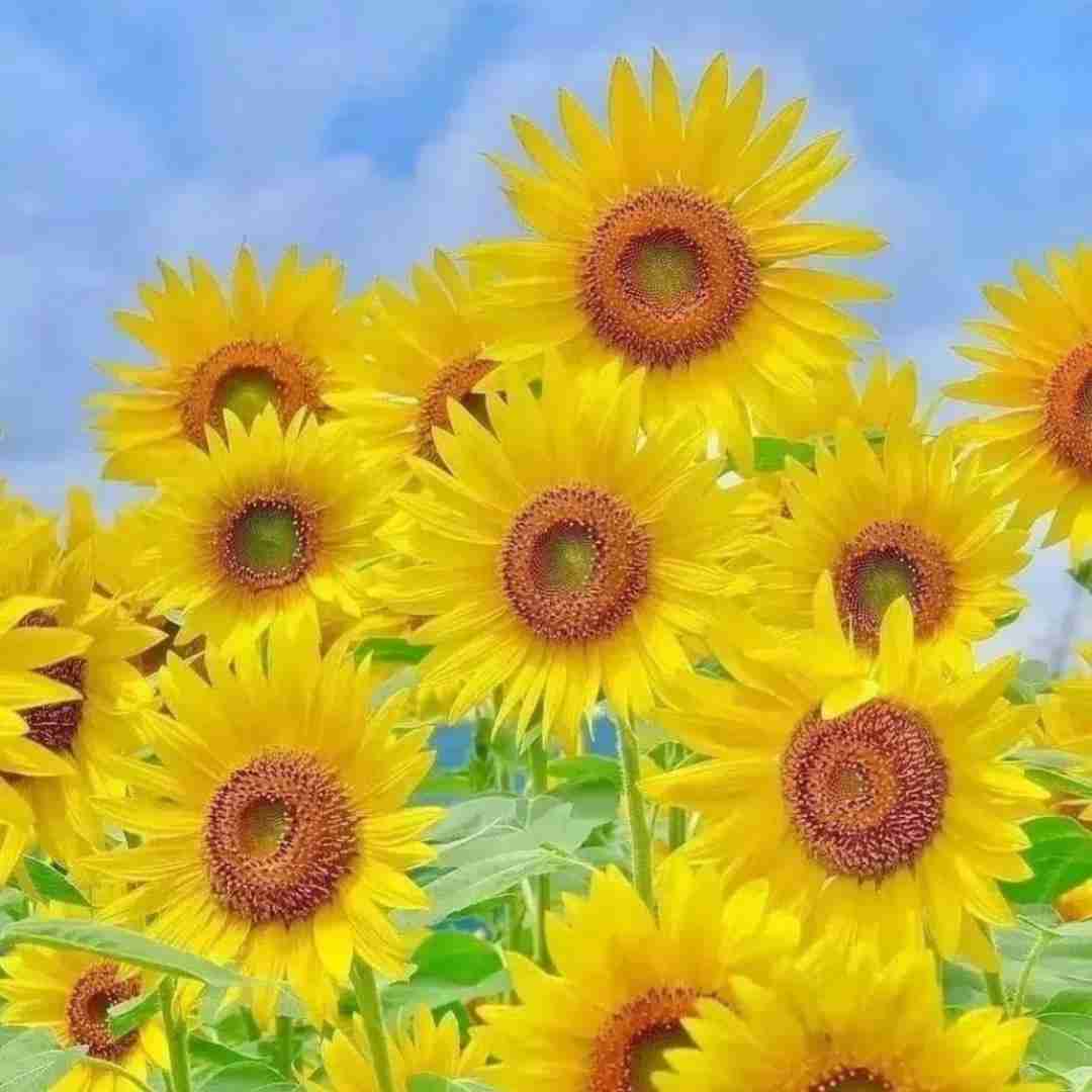 دانلود آهنگ بهانه ای بده به ابر کوچک نگاه من با صدای دختر 