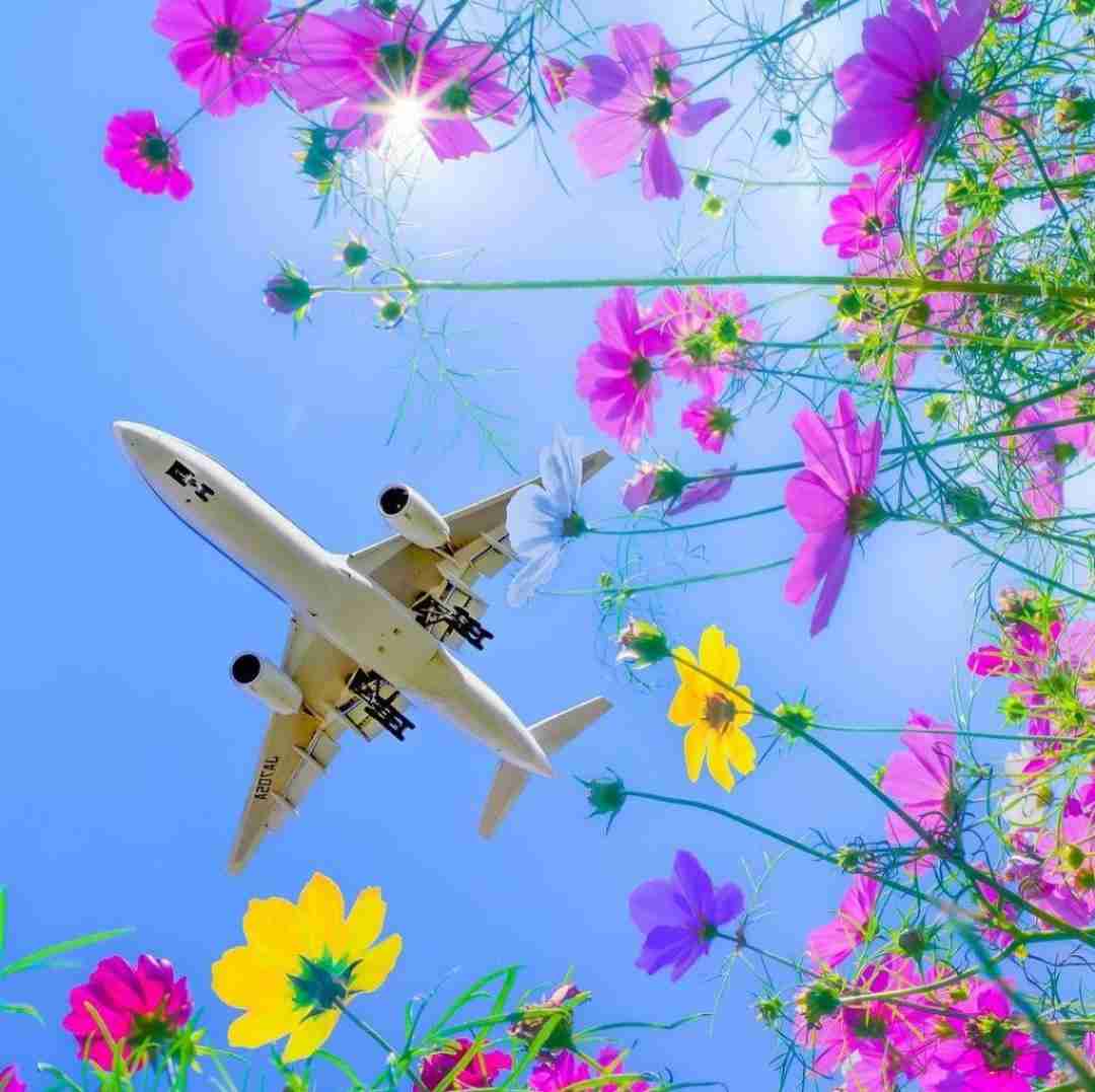 دانلود آهنگ چنی مالدان شلوغه چنی با صدای پسر اینستایی