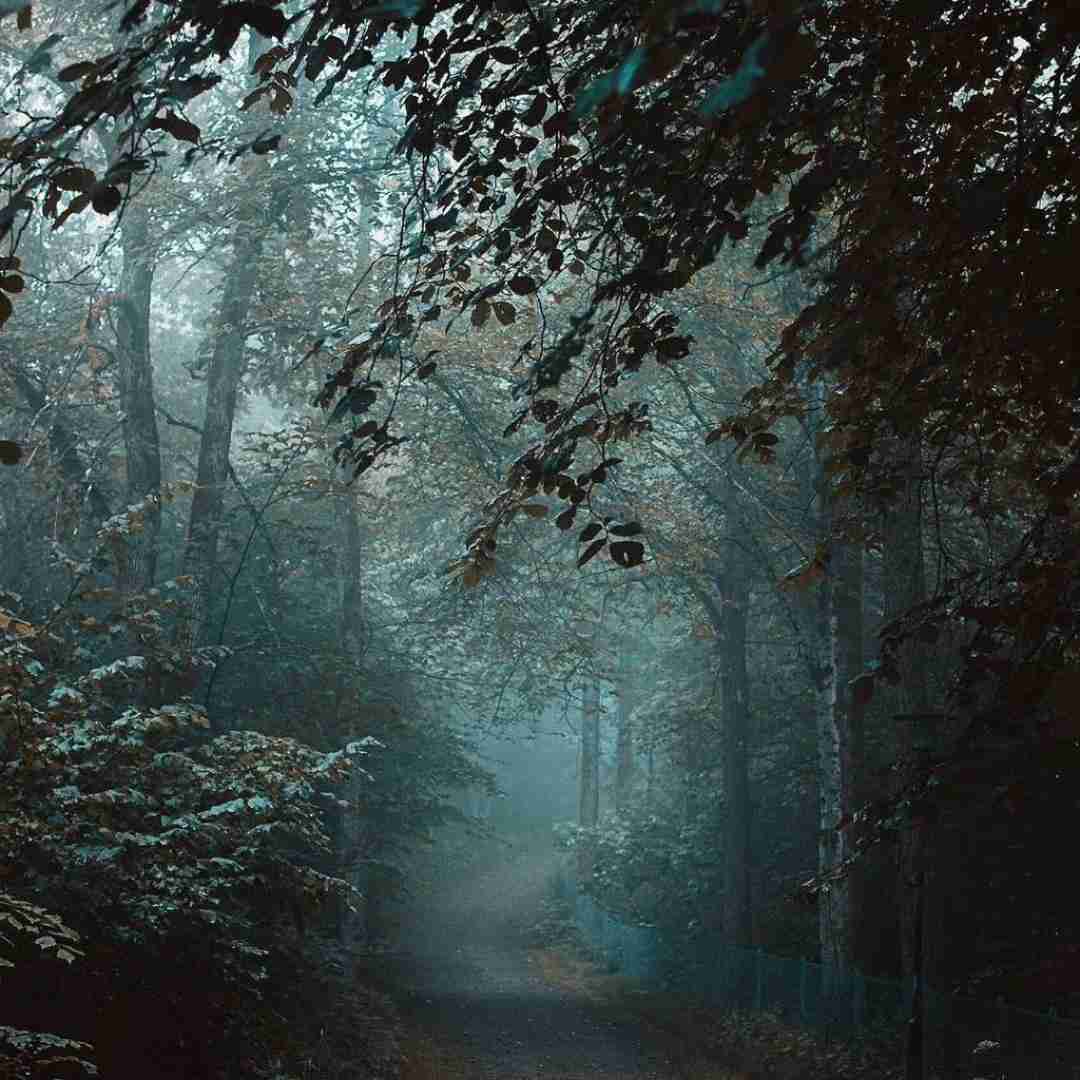 دانلود آهنگ شب شده پر ستاره چشمک بزن دوباره اینستایی 