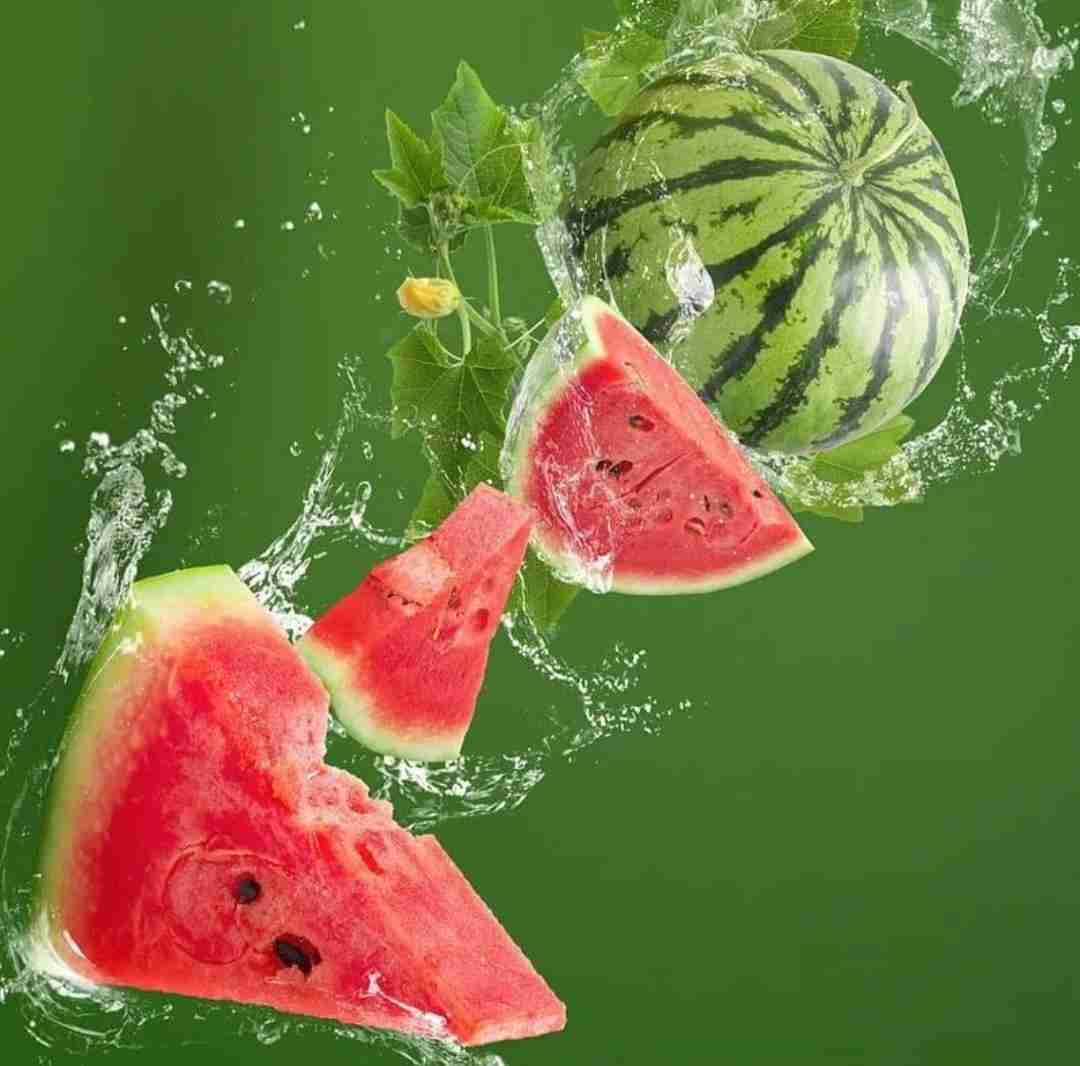 دانلود آهنگ ترکی یکی هندوانه میخره یکی ساز میزنه