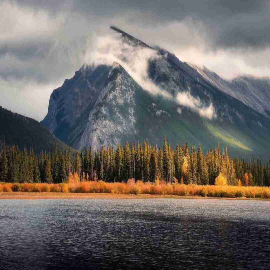 دانلود آهنگ آن می زده که مست فریب است میخانه ز این باده