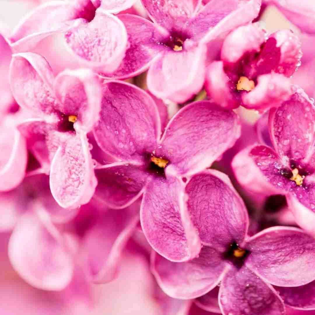 دانلود آهنگ این شیشه باتلو میرمش تکی 