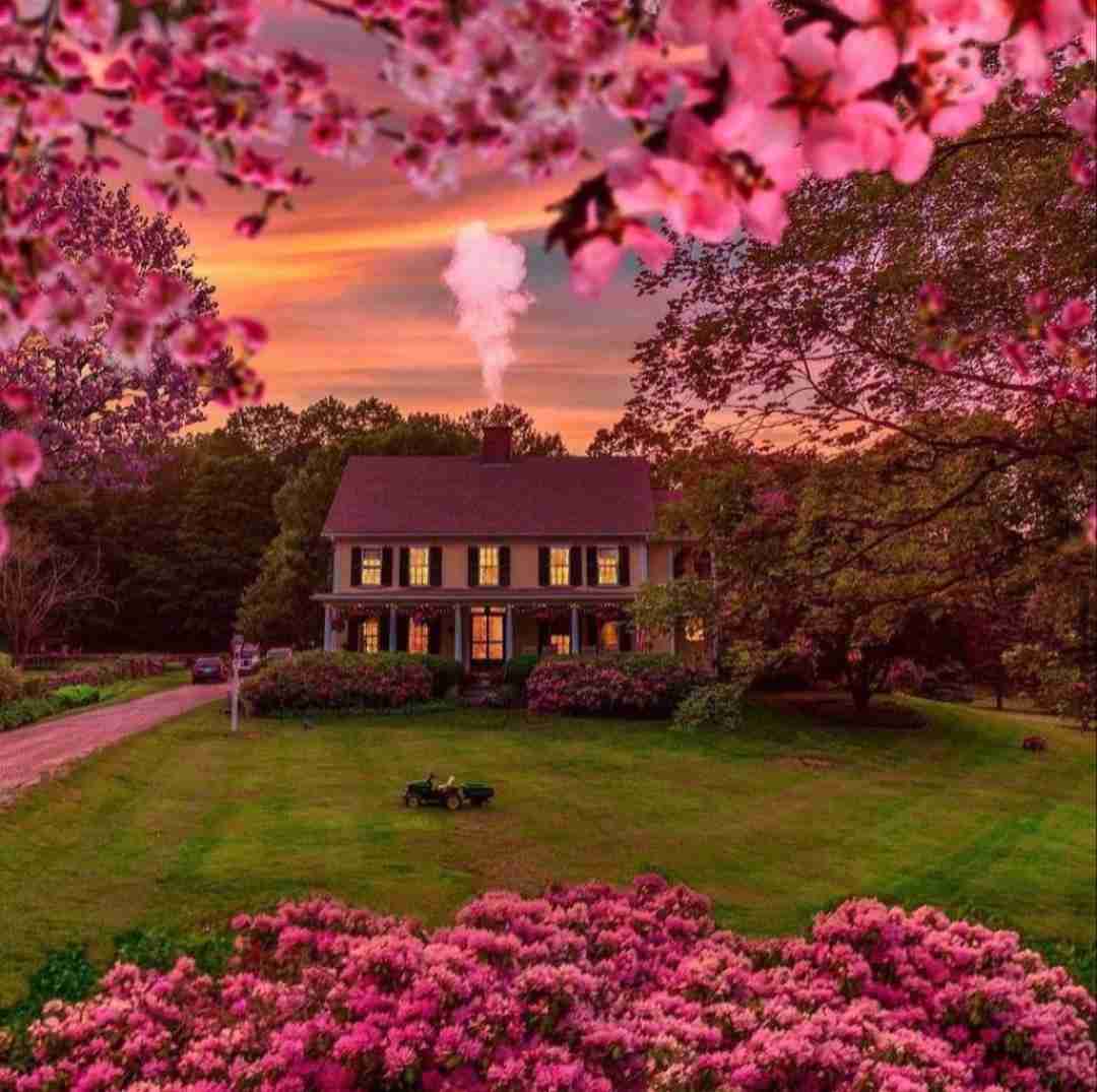 دانلود آهنگ برش ماماسیتو سنیوریتا قرسک زده ایسو بیا