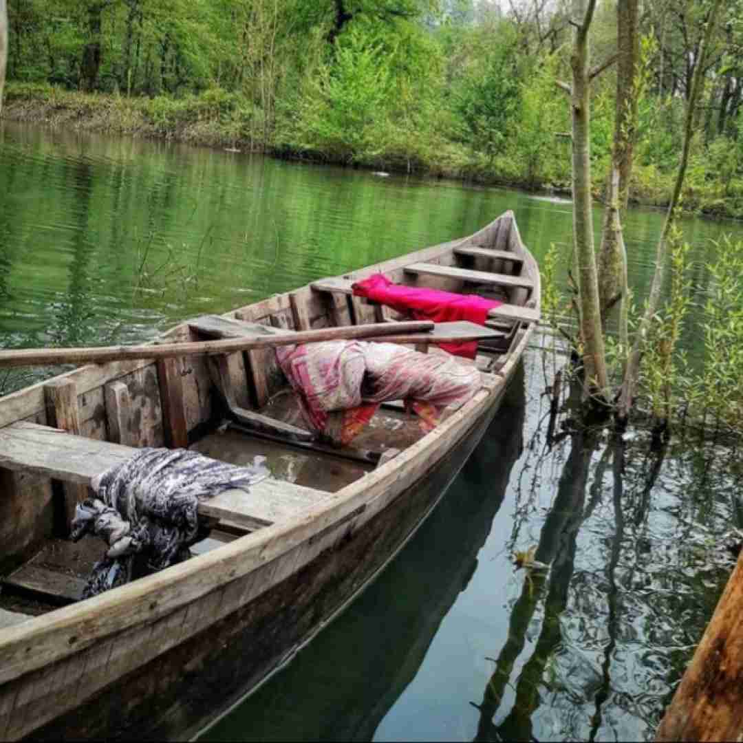 دانلود آهنگ مثل برد بود باختن قلبم به تو 
