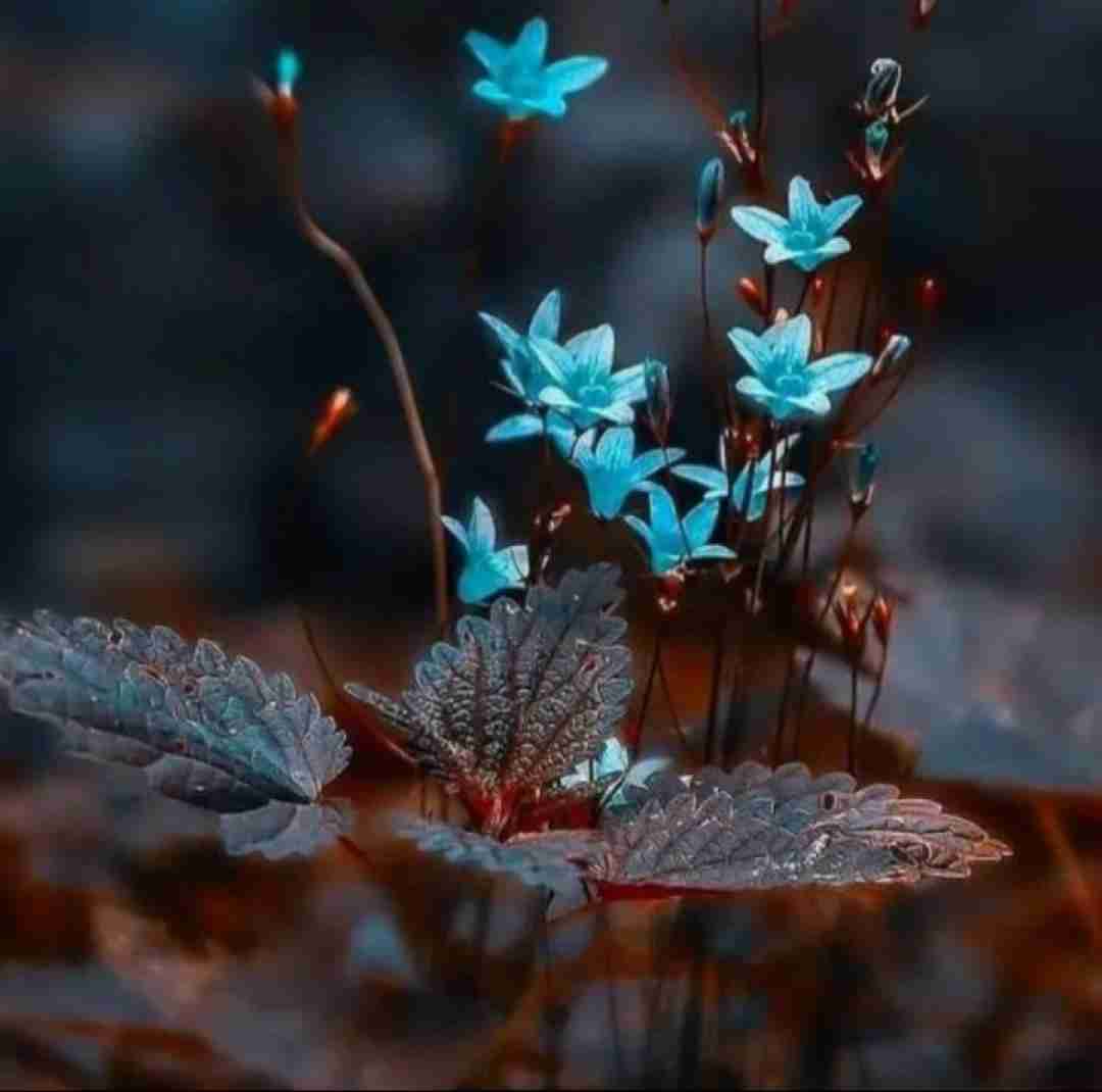 دانلود آهنگ دیدی بد کندنو بردن این دل تورو ز برم