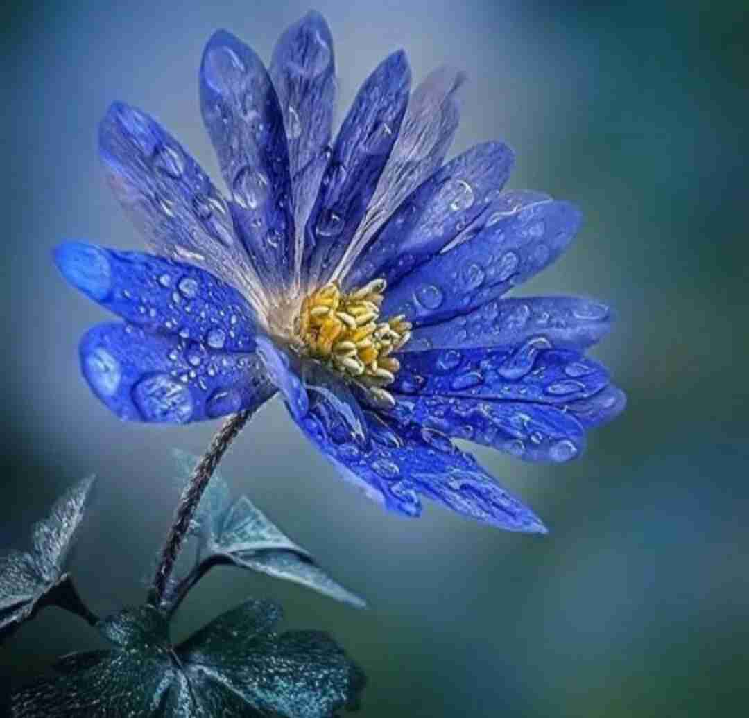 دانلود آهنگ رو یک سکوی سیمانی نشستیم با صدای زن اینستایی