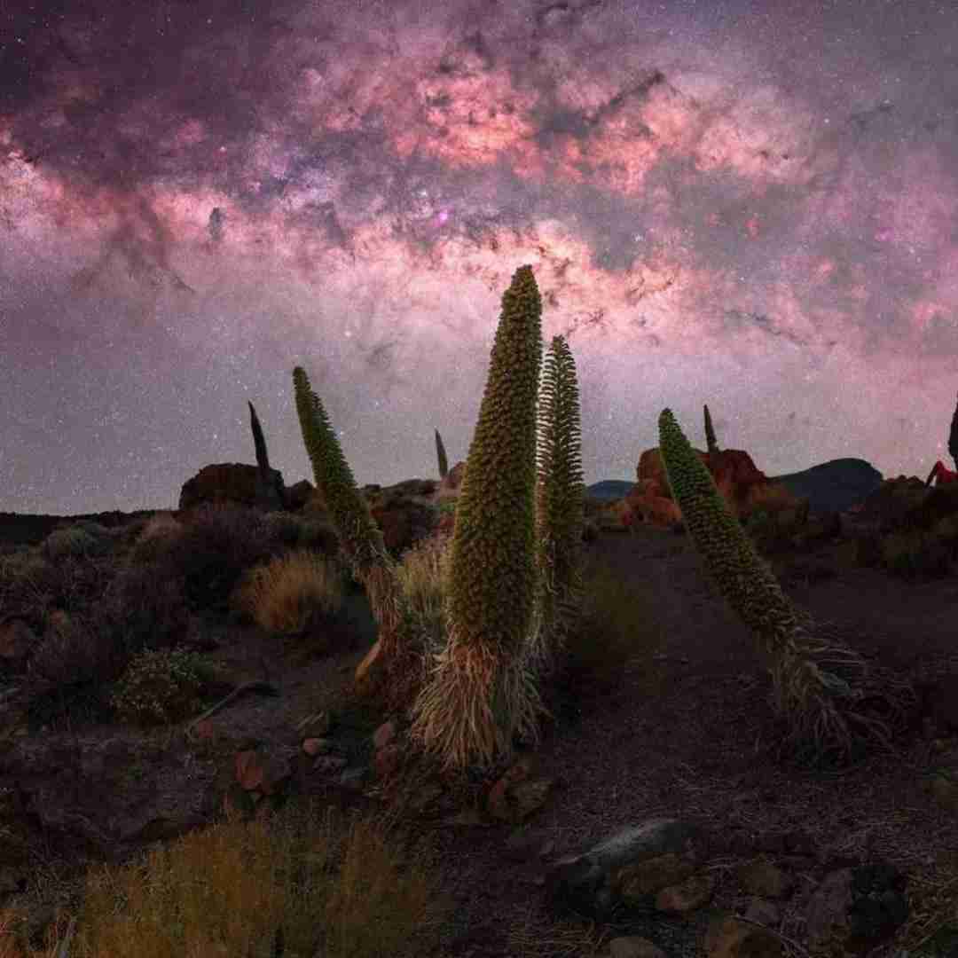 دانلود آهنگ حبیبی کام تو دایرکت حساب کردم رو لایکت