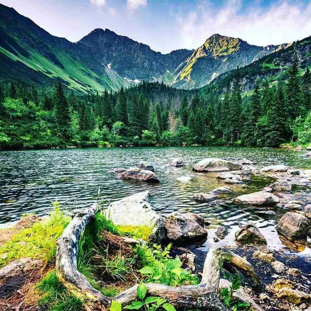 دانلود آهنگ تاجیکی الا بچه ی خاله ای سخن گوی به اشاره خواننده زن