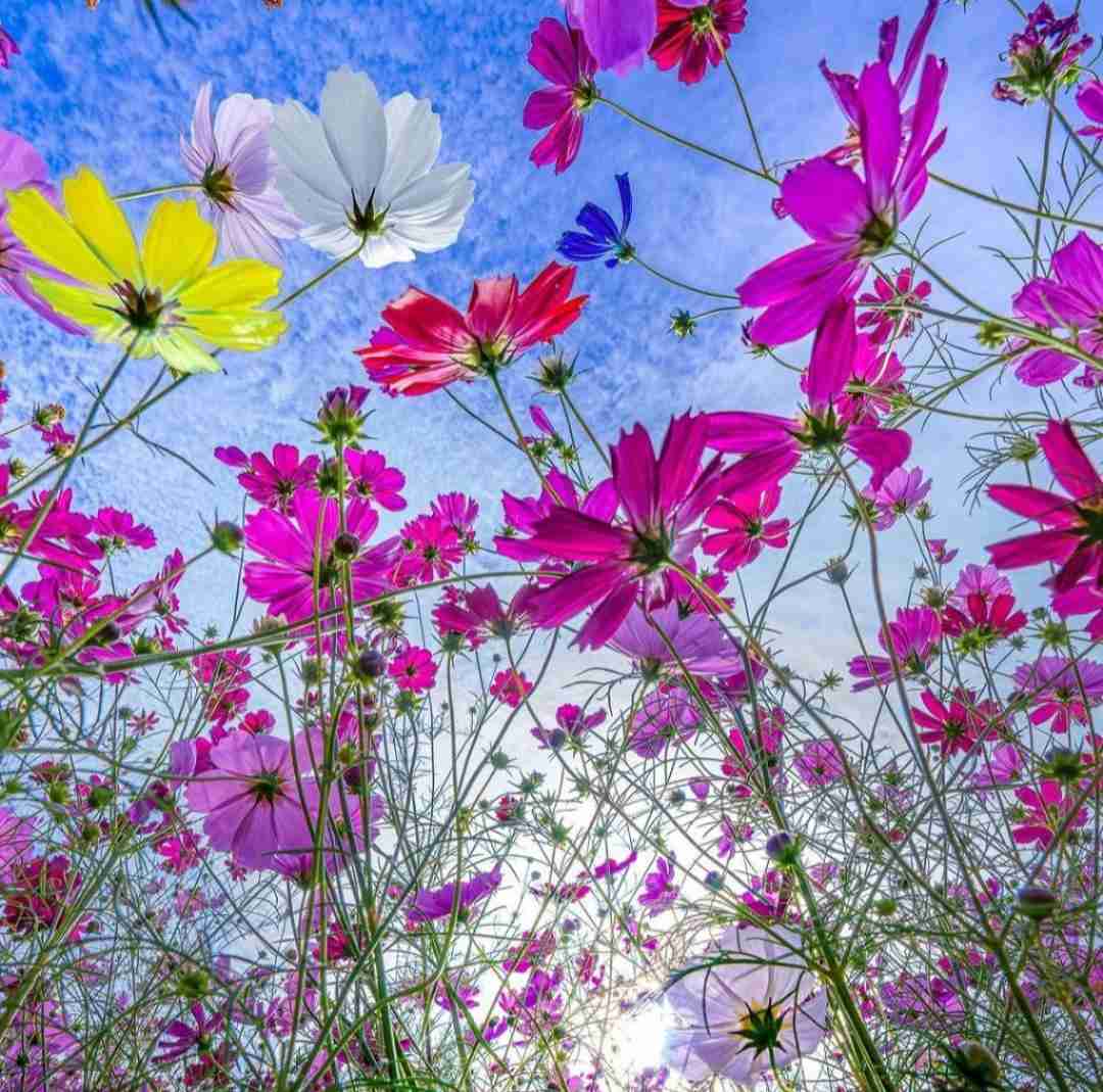 دانلود آهنگ من انتخاب جامعه نیستم خوب میدونی توی بلک لیستم