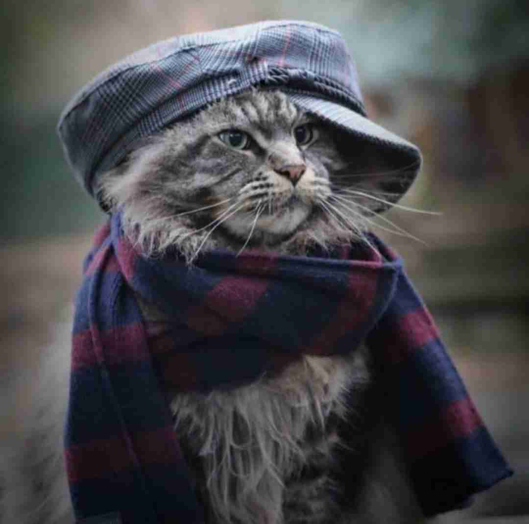 دانلود آهنگ از این به بعد با هر کی مثل خودشم دورمه دورشم