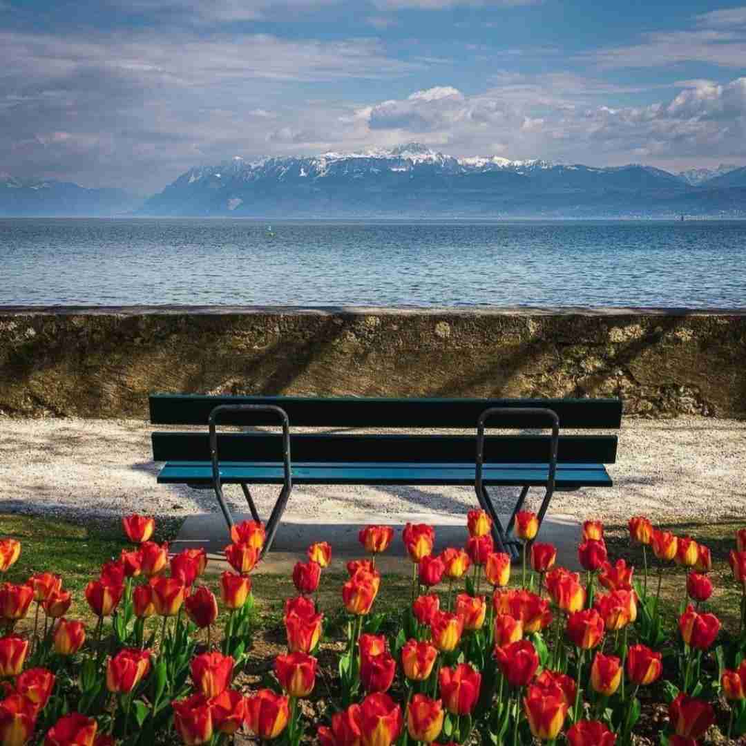 دانلود آهنگ او ماماسیتا تکون بده با بیتا بگو زود بیاره سی تا 