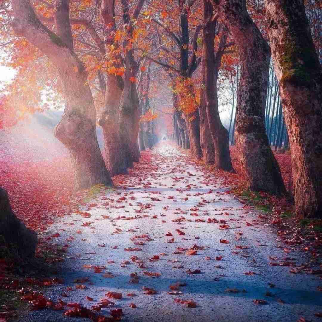 دانلود آهنگ خارجی اکست رو بلاک کن تا نتونه بهت زنگ بزنه هاهاهاها