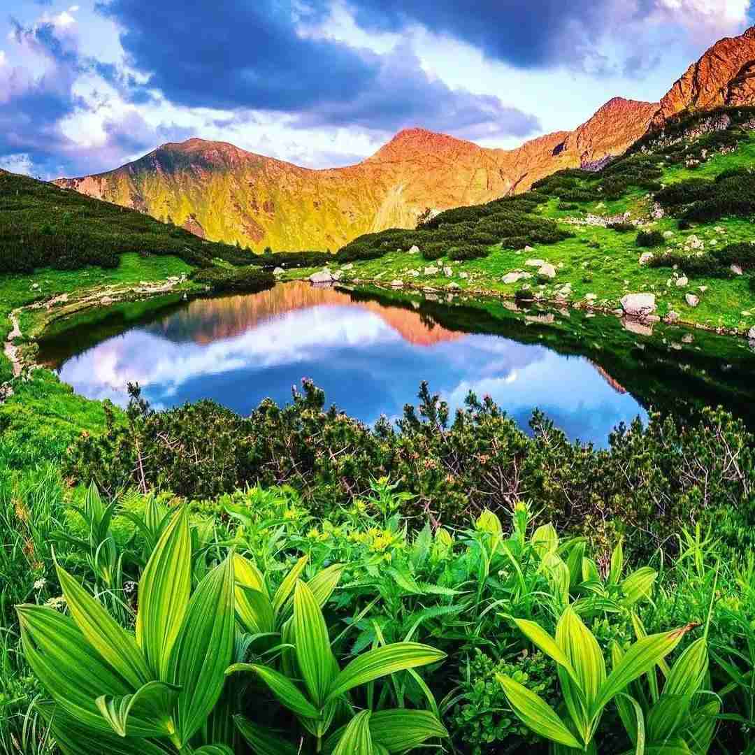 دانلود آهنگ افغانی دره دره درمان بره بچه گک های خوشرو داره