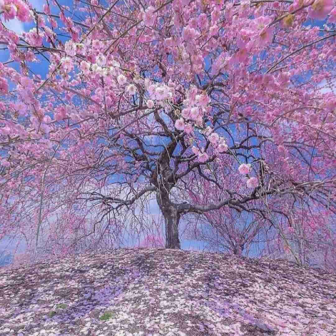 دانلود آهنگ بزن تمومش کن شبونه این عشقو تو نابودش کن 