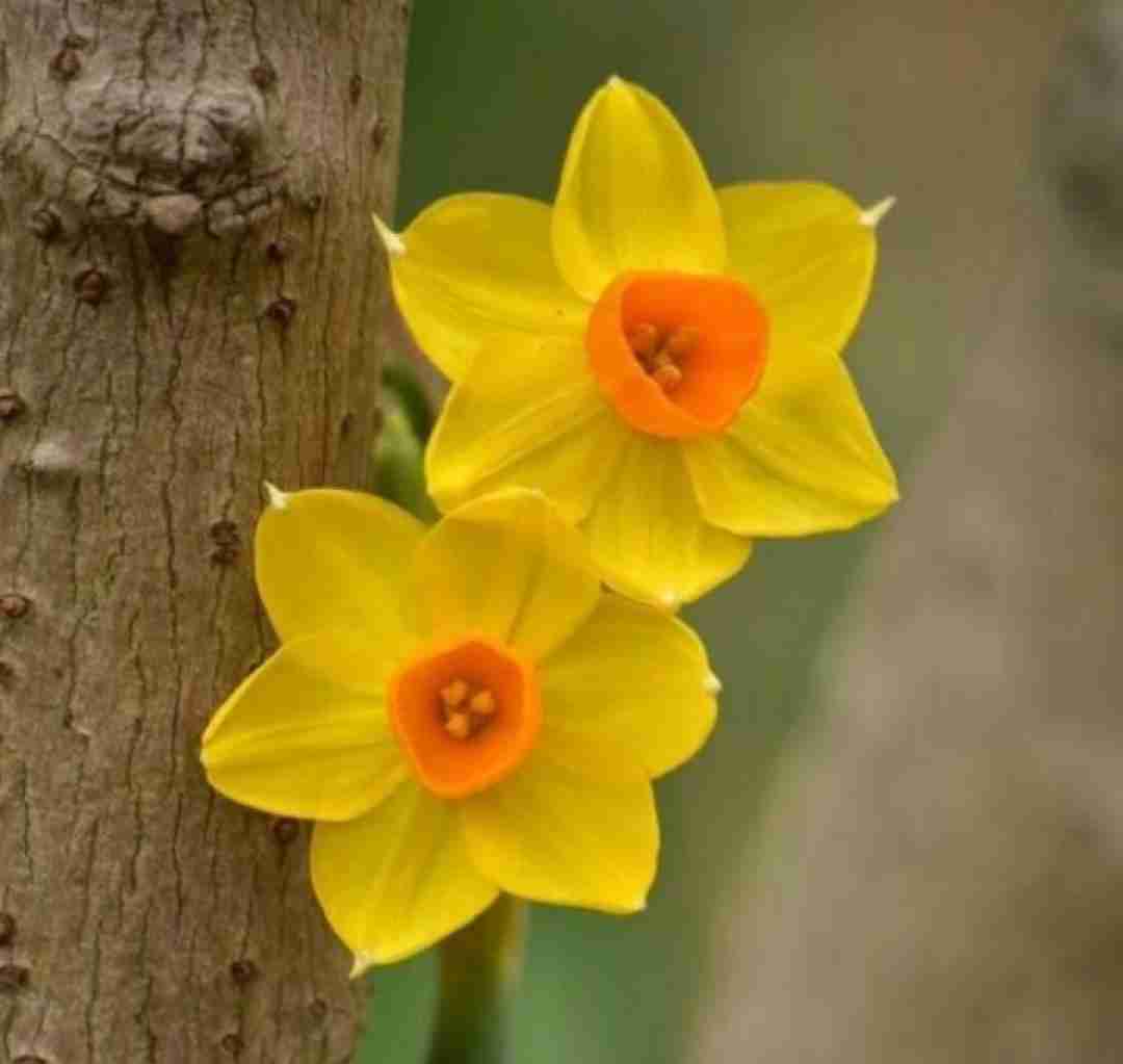 دانلود آهنگ خارجی خیال پردازی از چشمای اونا همونطور که اونا 