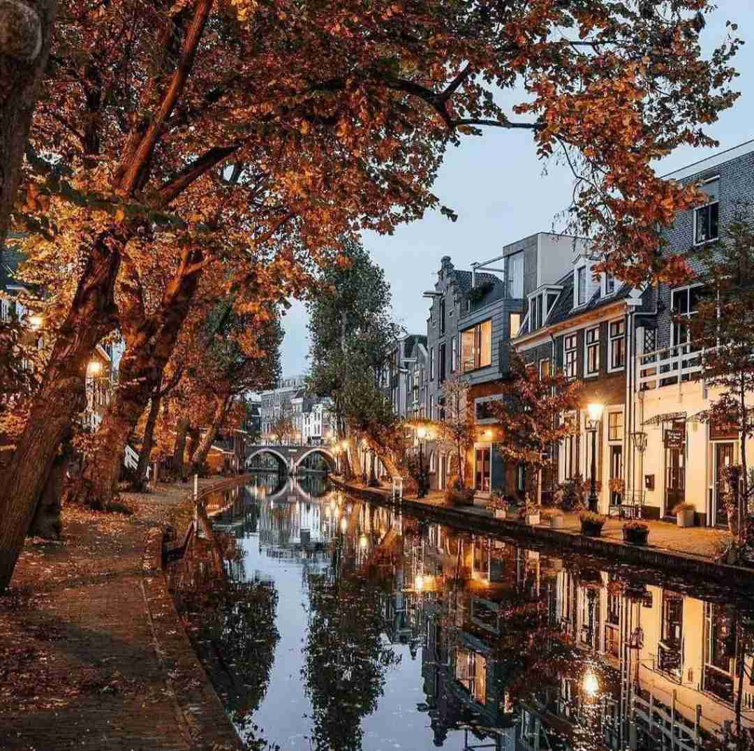 دانلود آهنگ ببین خوش به حالت غریبه عشق منه الان دوس دختر جدیدت